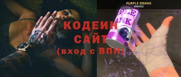 ECSTASY Бородино