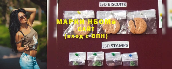 ECSTASY Бородино