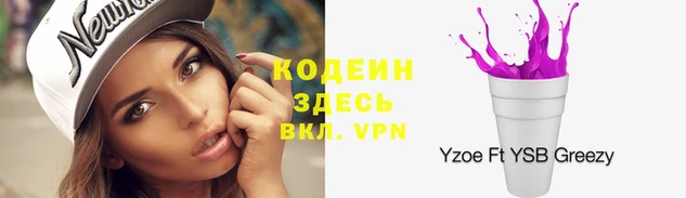 ECSTASY Бородино