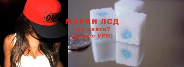 ECSTASY Бородино