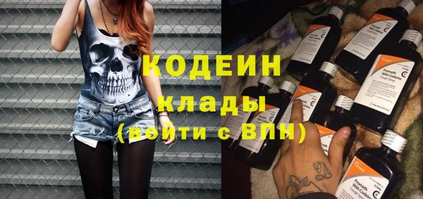 ECSTASY Бородино