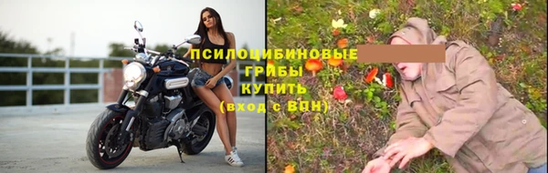 ECSTASY Бородино